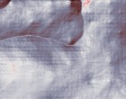 scanscot shipping