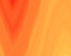 software spedition